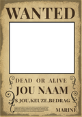 Custom One Piece Wanted Poster